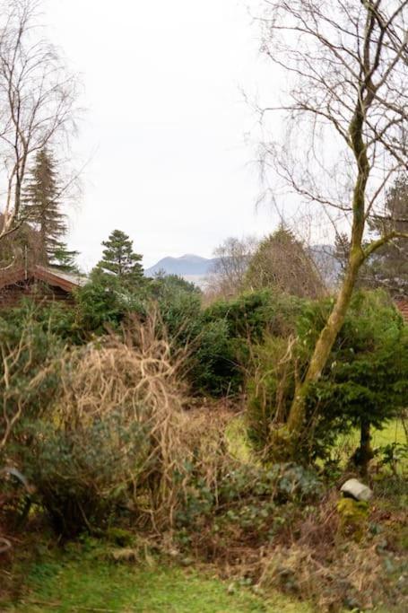 Cozy Norwegian Style Log Cabin In Rural Snowdonia - 2 Bedrooms & Parking By Seren Short Stays Ffestiniog 외부 사진